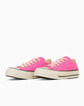 31314033 Converse All Star Lgcy OX Hot Pink(Men's)