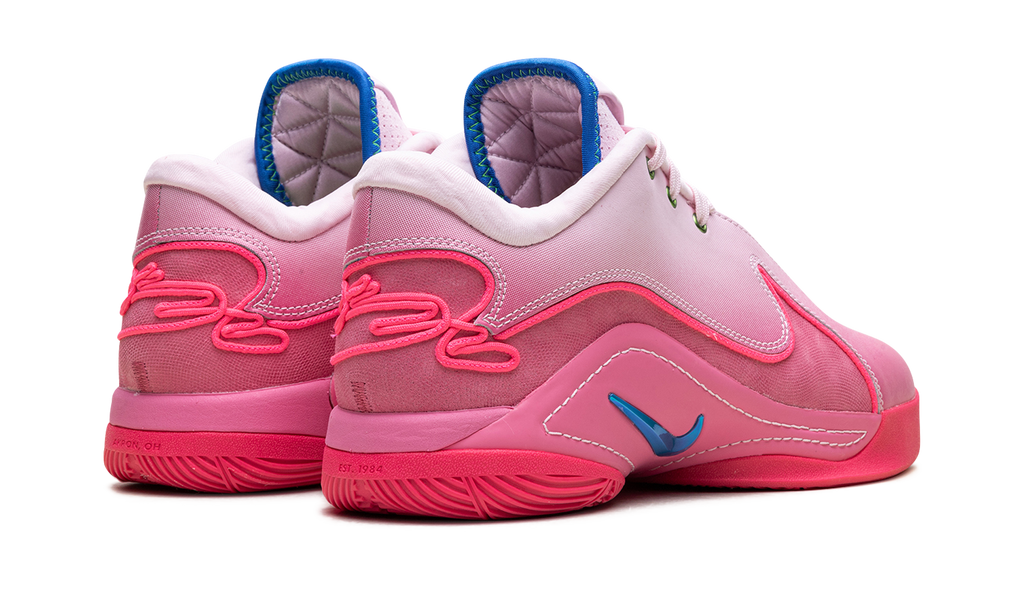 LeBron 22 "I Promise" HV8456 600