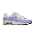 Nike Air Max 1 GS 'Hydrangeas'