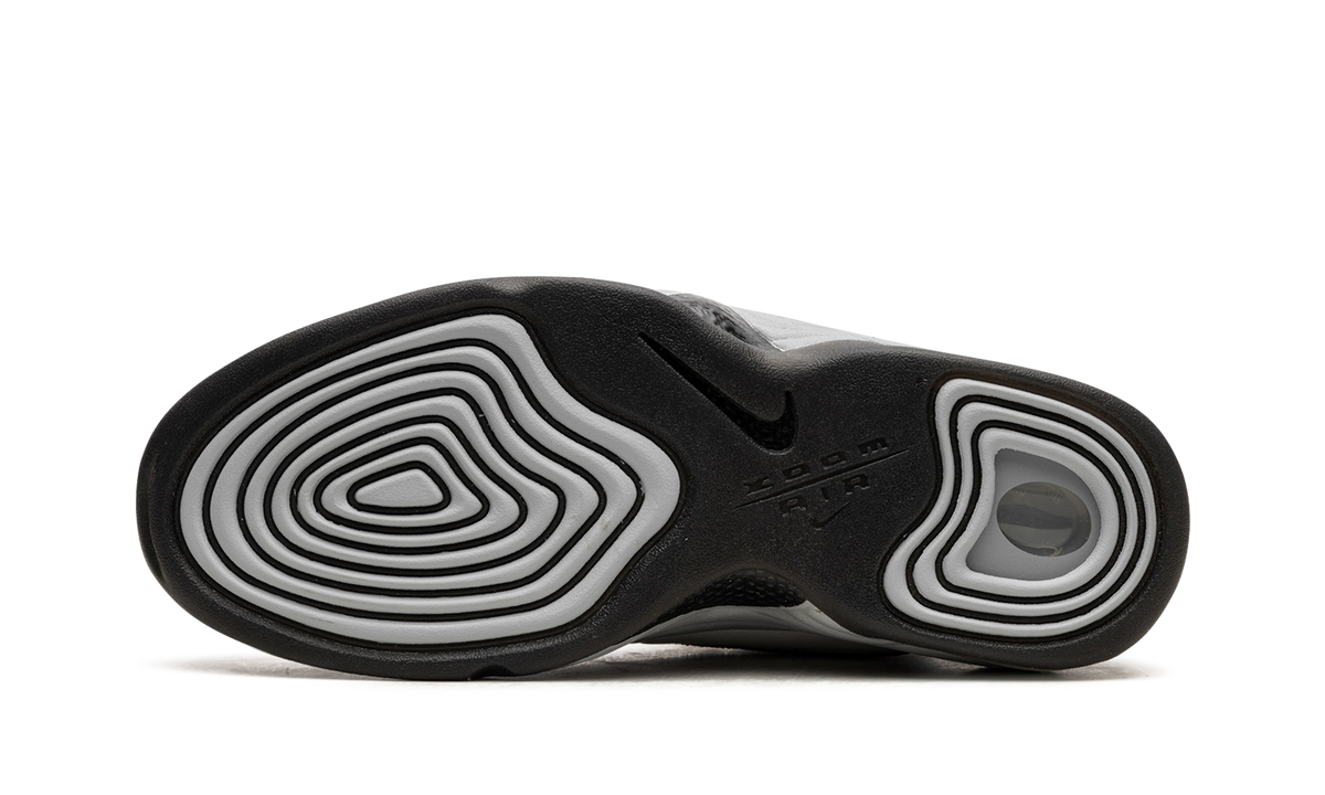 AIR PENNY 2 WMNS "Rosewood" DV1163 100